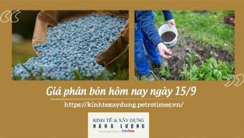 Giá phân bón hôm nay ngày 15/9/2021