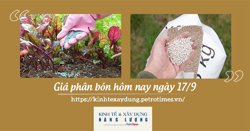 Giá phân bón hôm nay ngày 17/9/2021