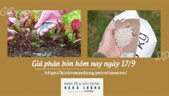 Giá phân bón hôm nay ngày 17/9/2021