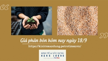 Giá phân bón hôm nay ngày 18/9/2021