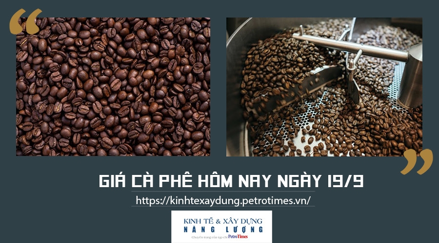 Giá cà phê hôm nay ngày 19/9: Nối tiếp đà tăng