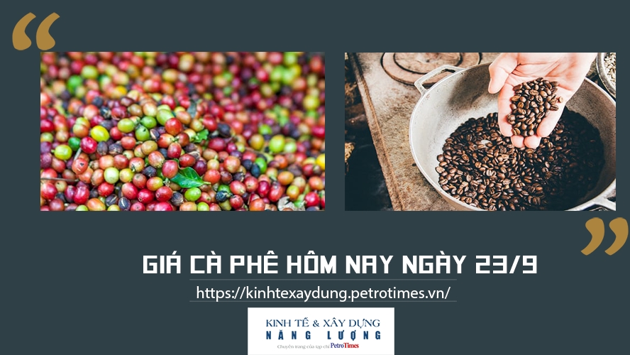 Giá cà phê hôm nay ngày 23/9: Giảm nhẹ tại một số địa phương trọng điểm