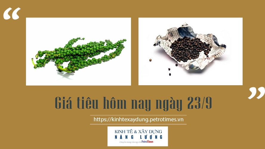 Giá tiêu hôm nay ngày 23/9: Tăng nhẹ