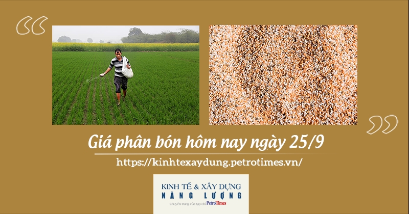 Giá phân bón hôm nay ngày 25/9: Chưa có dấu hiệu tăng