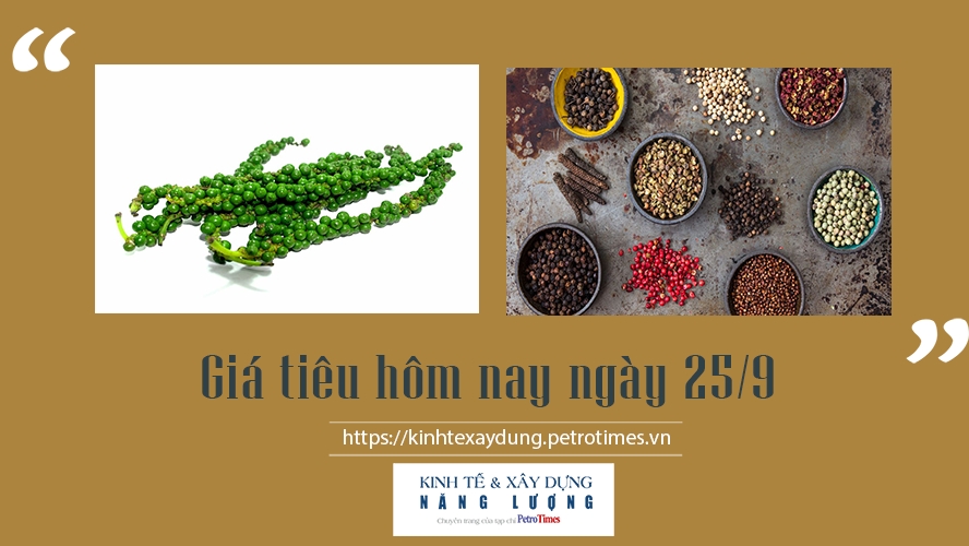 Giá tiêu hôm nay ngày 25/9: Giữ mức ổn định