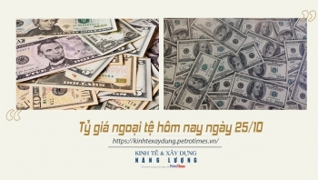 Tỷ giá ngoại tệ hôm nay ngày 25/10: Đồng USD ổn định tại thị trường trong nước