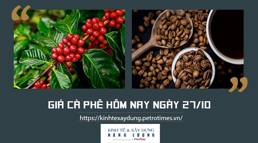 Giá cà phê hôm nay ngày 27/10: Tăng mạnh tại các địa phương thu mua trọng điểm