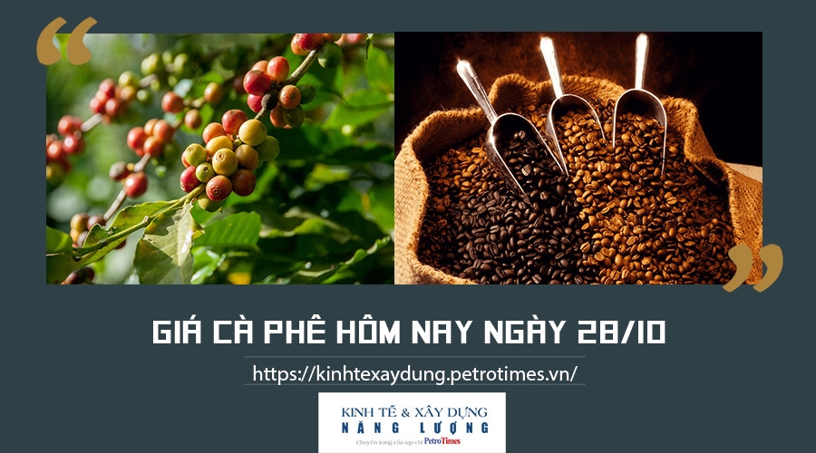 Giá cà phê hôm nay ngày 28/10: Tăng nhẹ tại thị trường trong nước