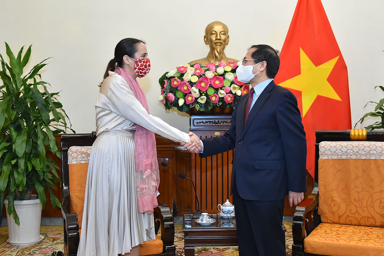 Bộ trưởng Ngoại giao Bùi Thanh Sơn tiếp Đại sứ New Di-lân tại Việt Nam