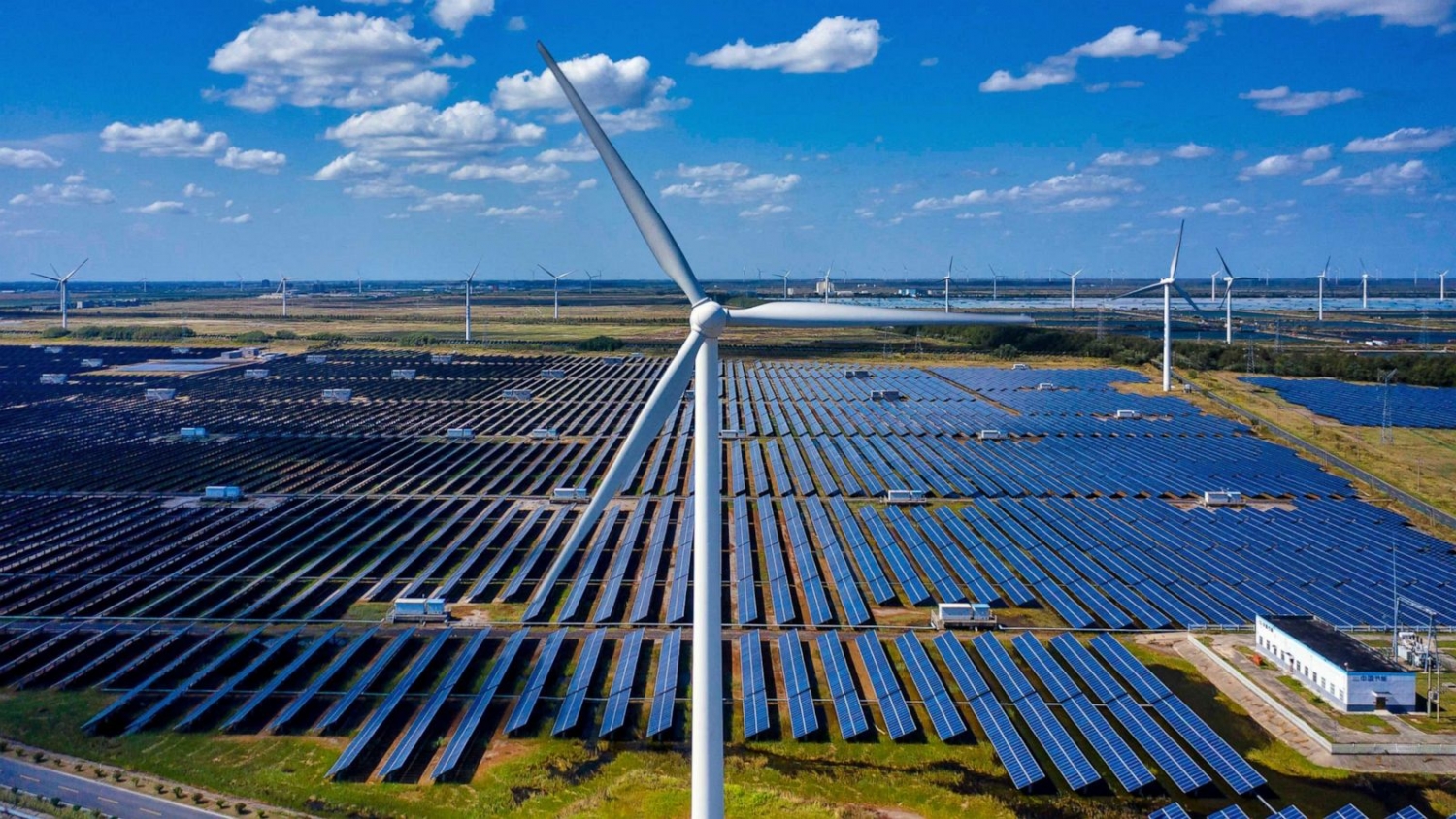 IFC dẫn đầu dự án năng lượng tái tạo