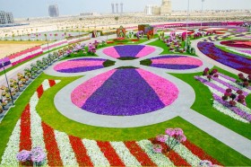 Rực rỡ vườn hoa lớn nhất thế giới ở Dubai