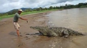Người đàn ông liều lĩnh "đối mặt" với cá sấu