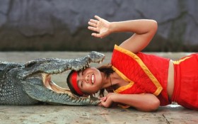 Thái Lan: Cô gái mạo hiểm cho đầu vào miệng cá sấu