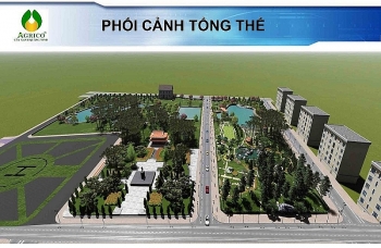 Quảng Ninh: Quy hoạch Công viên Tùng trên đảo Cô Tô