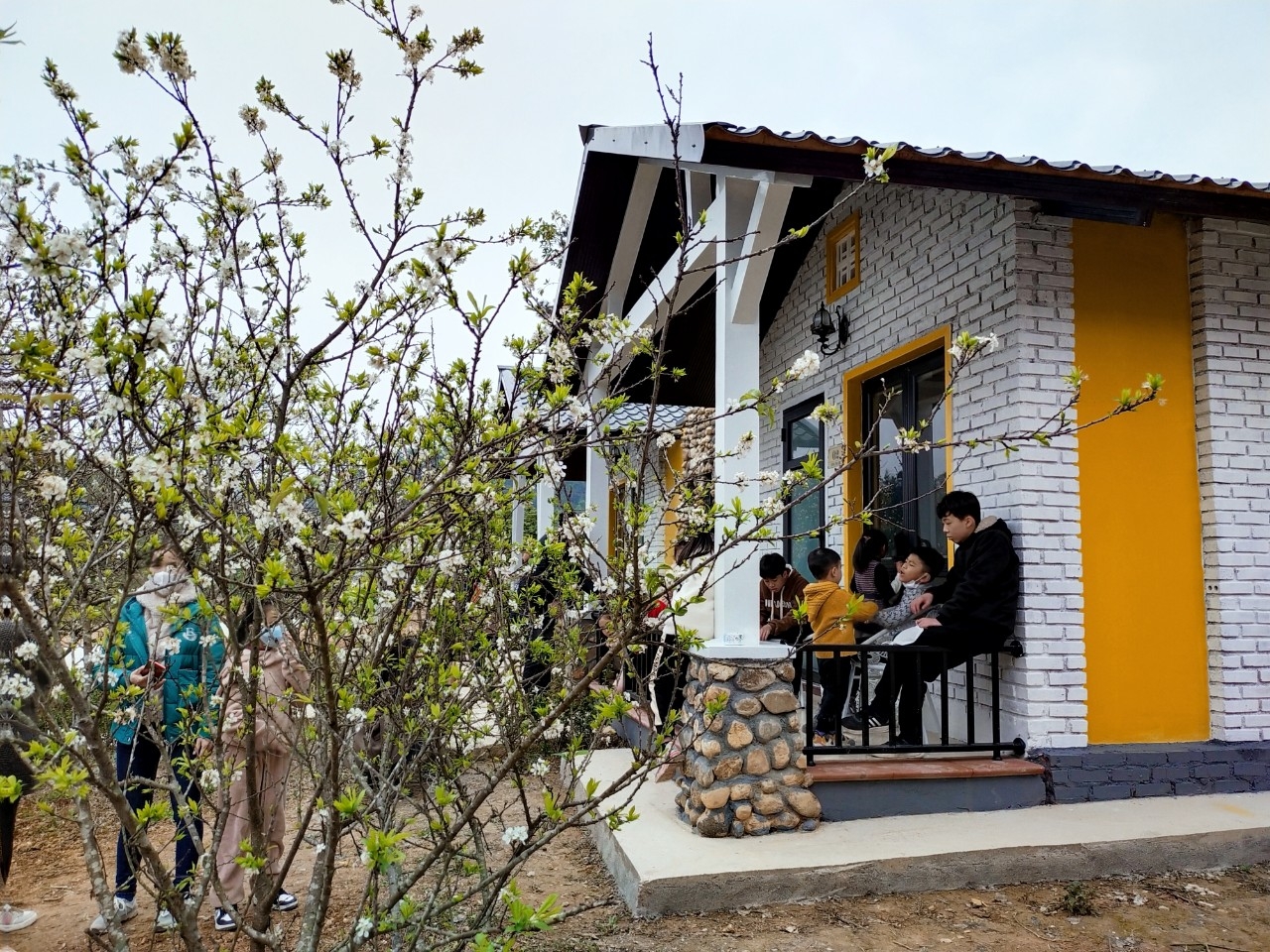 Xuân Hòa Sơn - Điểm nhấn mùa du xuân 2022 tại Cao Bằng