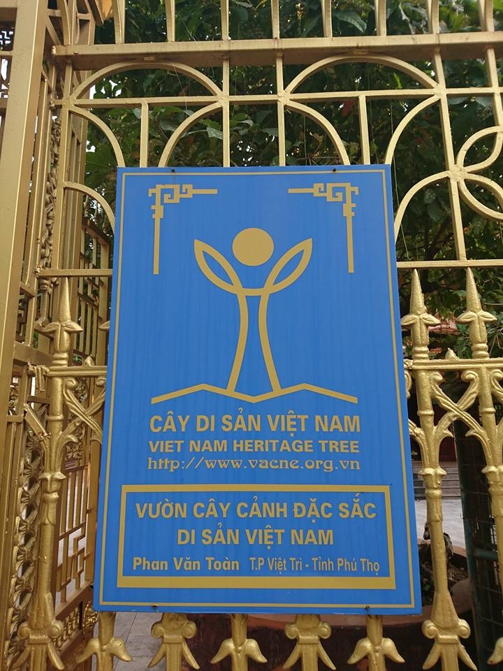 Top 10 điểm đến không thể bỏ lỡ khi đến thành phố Việt Trì