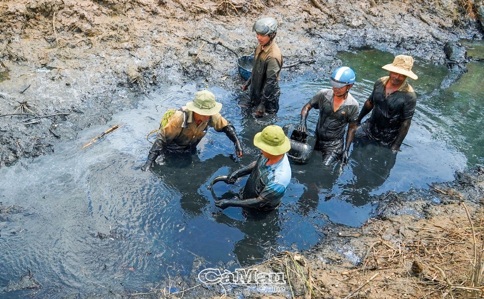 Cháo cá lóc - rau đắng đất: Món ngon dân dã