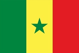 Tin Bộ Ngoại giao: Điện mừng Senegal đảm nhiệm vị trí Chủ tịch luân phiên Liên minh châu Phi