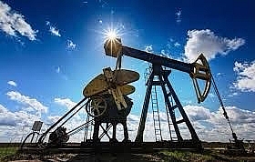 Hiệp hội các công ty sản xuất dầu vừa và nhỏ tại Nga xin giãn hạn nộp thuế