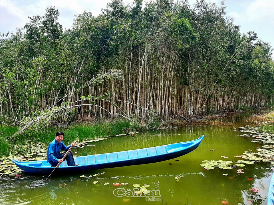 “Hương rừng U Minh” - Hành trình đến Du lịch xanh