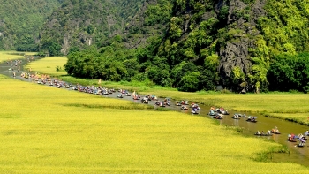 Ninh Bình tổ chức Tuần du lịch "Sắc vàng Tam Cốc - Tràng An" năm 2022 từ ngày 21-28/5