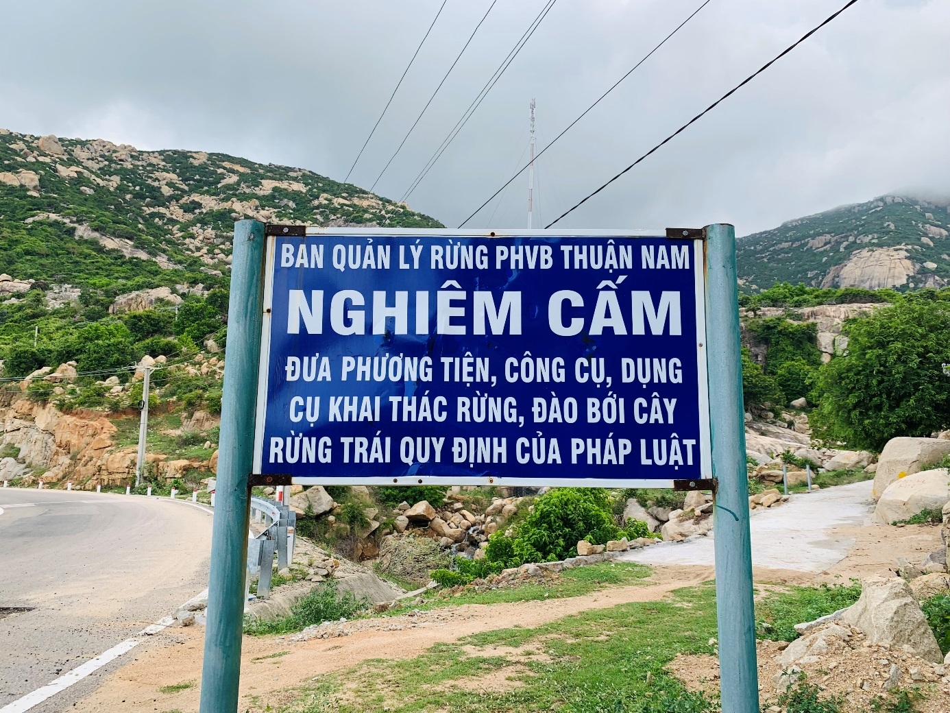 “Cung đường bằng lăng tím” – điểm check-in đang “HOT” tại Ninh Thuận