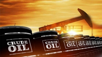 Giá dầu tuần qua và dự báo tuần tới