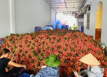 Mở 5 điểm kết nối tiêu thụ nông sản Việt tại Hà Nội