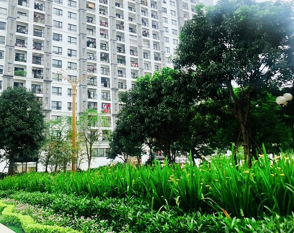 Hà Nội: Phát triển đô thị theo hướng xanh và hiện đại