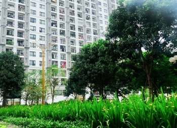 Hà Nội: Phát triển đô thị theo hướng xanh và hiện đại