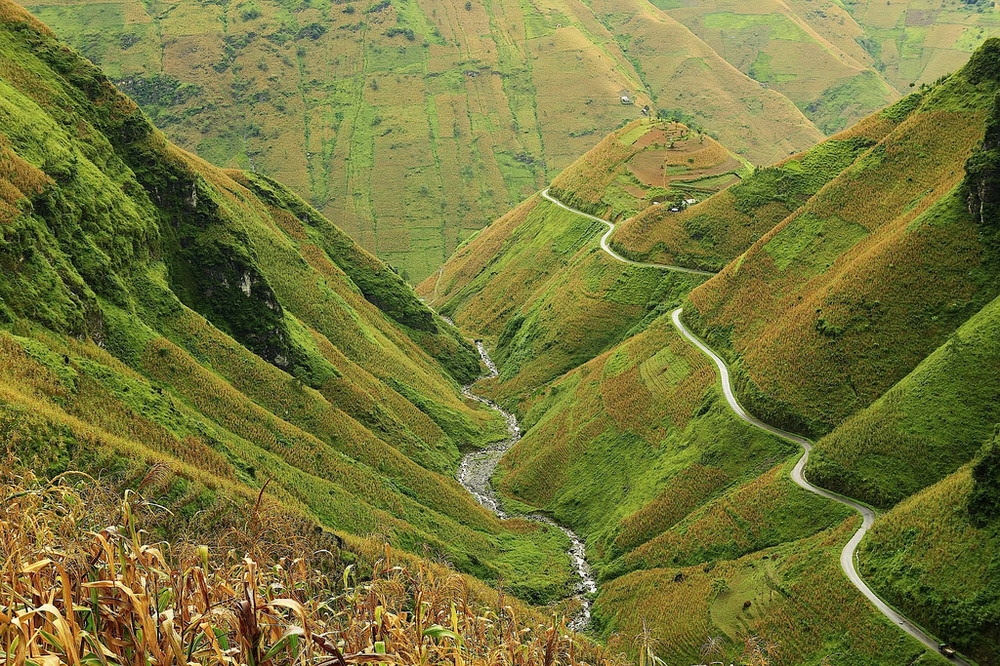 Vẻ đẹp mê hồn của 