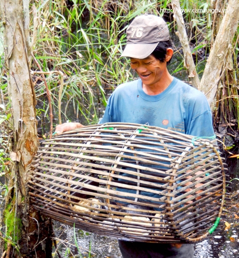 Khám phá rừng tràm U Minh Hạ