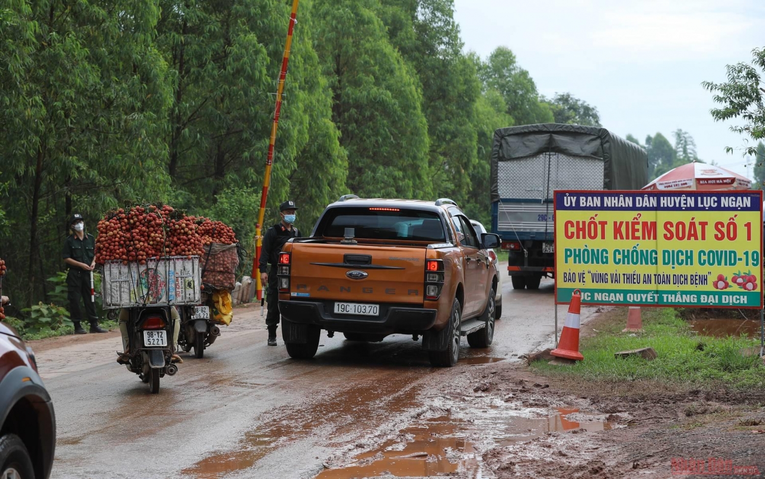 Rực rỡ sắc đỏ tại &quot;vương quốc&quot; vải thiều Bắc Giang