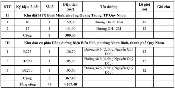 Bình Định đấu giá 45 lô đất tổng diện tích gần 4.300 m2 tại TP Quy Nhơn