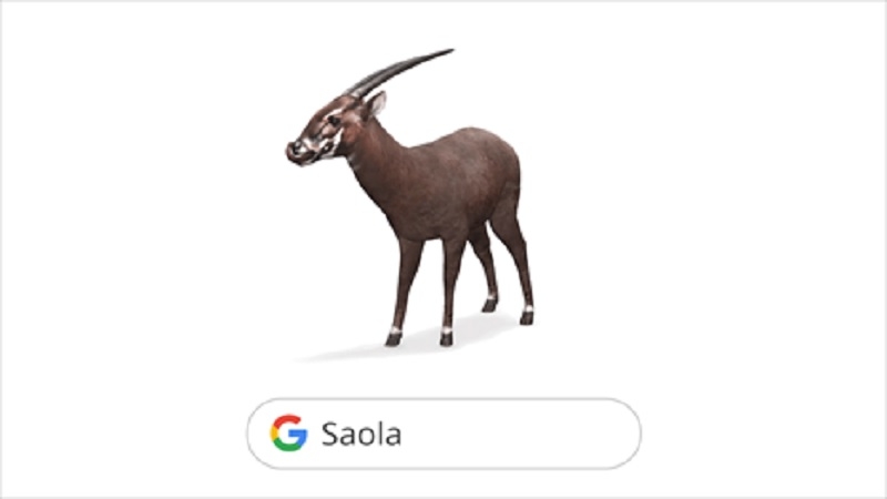 Sao la trở thành loài động vật quý hiếm đầu tiên của Việt Nam được Google số hóa AR 3D