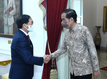 Bộ trưởng Ngoại giao Bùi Thanh Sơn tiếp kiến Tổng thống Indonesia Joko Widodo