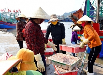 Nghệ An: Phê duyệt quy hoạch chi tiết 1/500 dự án Cảng thủy nội địa tổng hợp Quỳnh Lộc
