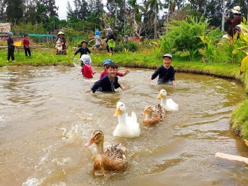 Nhiều lựa chọn cho du lịch trải nghiệm tại Long An