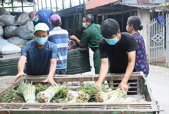 Bộ NN&PTNT đề nghị TP Hà Nội hỗ trợ cho các tài xế vận chuyển nông sản