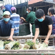 Bộ NN&PTNT đề nghị TP Hà Nội hỗ trợ cho các tài xế vận chuyển nông sản