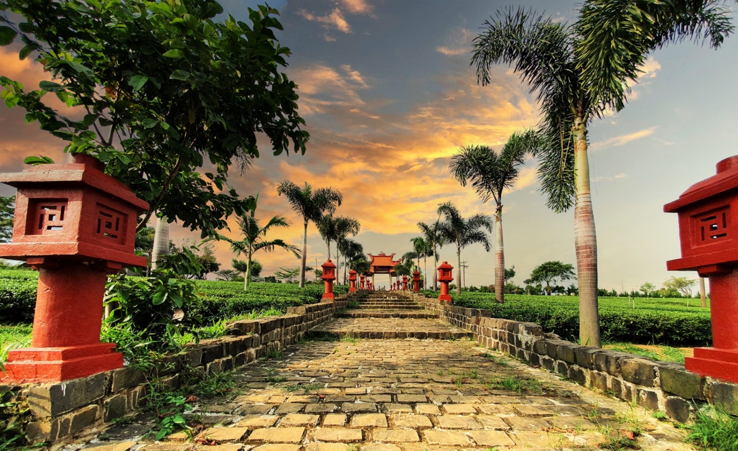 Ngắm khung cảnh bình yên của ngôi chùa lớn nhất Bảo Lộc