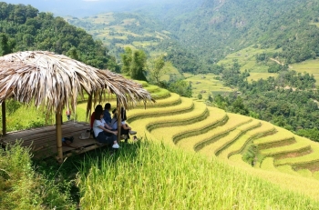 Du lịch Hà Giang mùa lúa chín