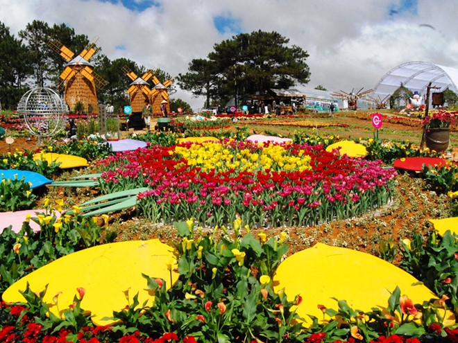 festival hoa da lat lan thu 8 nam 2019