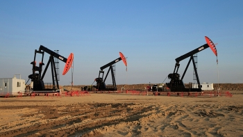 Mỹ và Canada tiếp tục đấu giá giấy phép các lô dầu khí