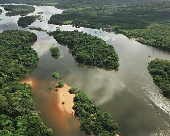 Total và BP rời khu vực Amazon