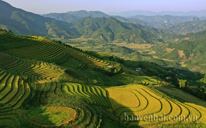 Mùa vàng ở Khe Táu