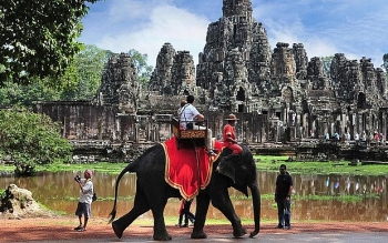 Campuchia cấm dịch vụ cưỡi voi ở đền Angkor Wat