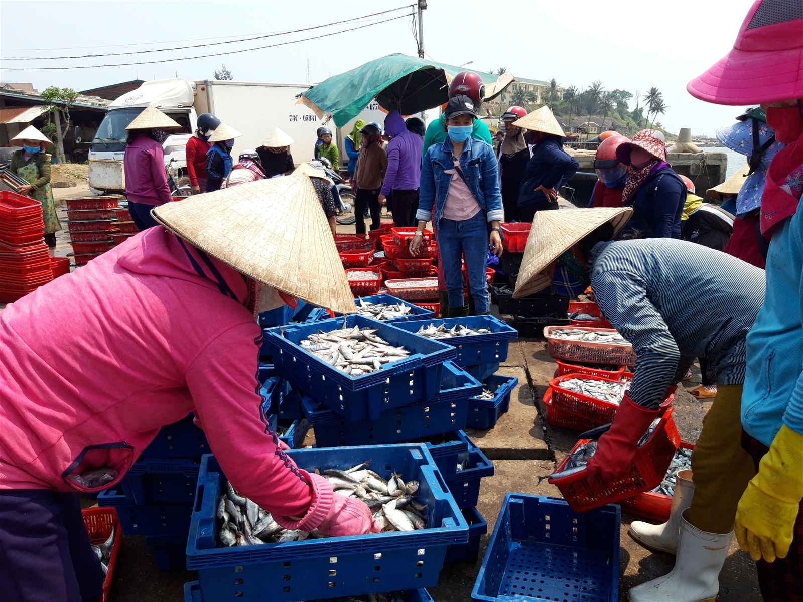 Quảng Trị: Công bố mở cảng cá Cửa Tùng