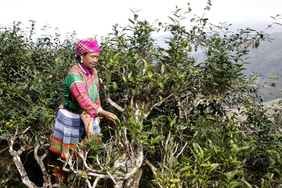 Ngài Là Thầu - Bình yên nơi biên cương