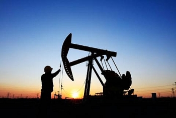 Diễn biến giá dầu thô tiếp tục giảm do OPEC không đạt được đồng thuận